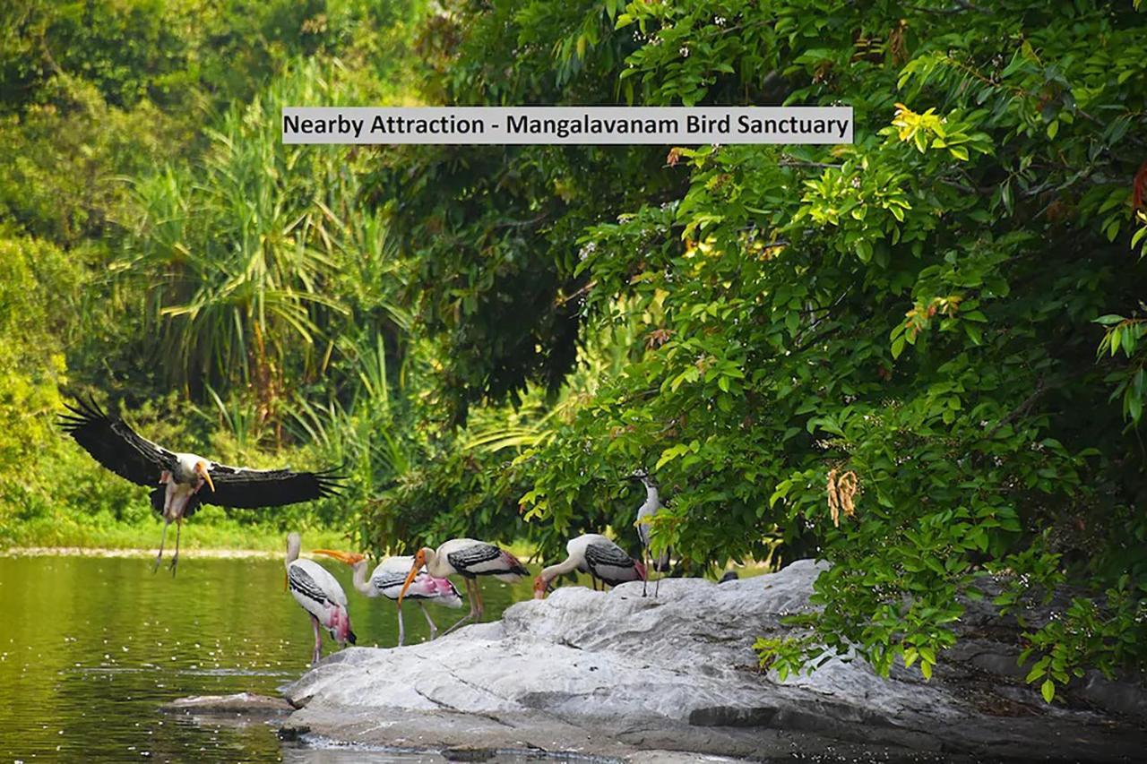 فندق Kochiفي  Accadia Residency المظهر الخارجي الصورة